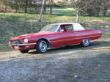 DSCF0233Tbird1.jpg